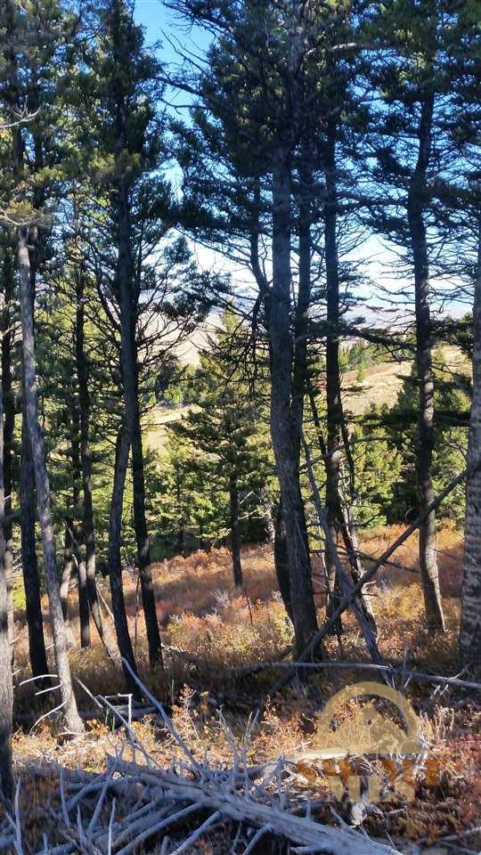 Lot 71 TBD Coyote Dr, Livingston, MT 59047