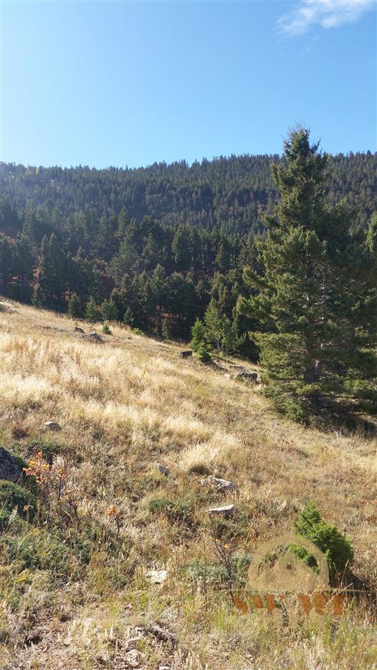 Lot 71 TBD Coyote Dr, Livingston, MT 59047