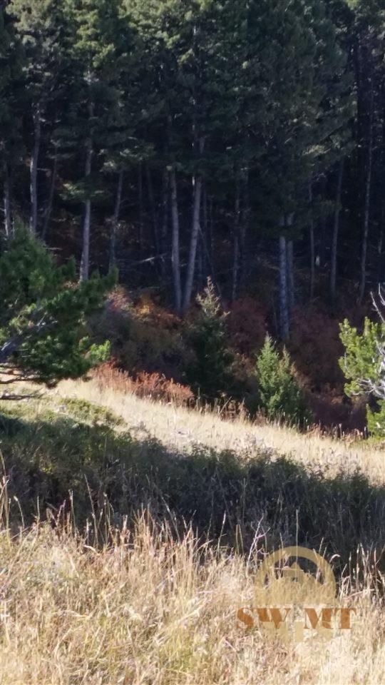 Lot 71 TBD Coyote Dr, Livingston, MT 59047