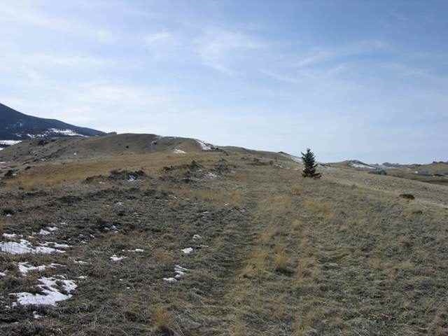 Lot 14 Buffalo Trail Estates, Livingston, MT 59047