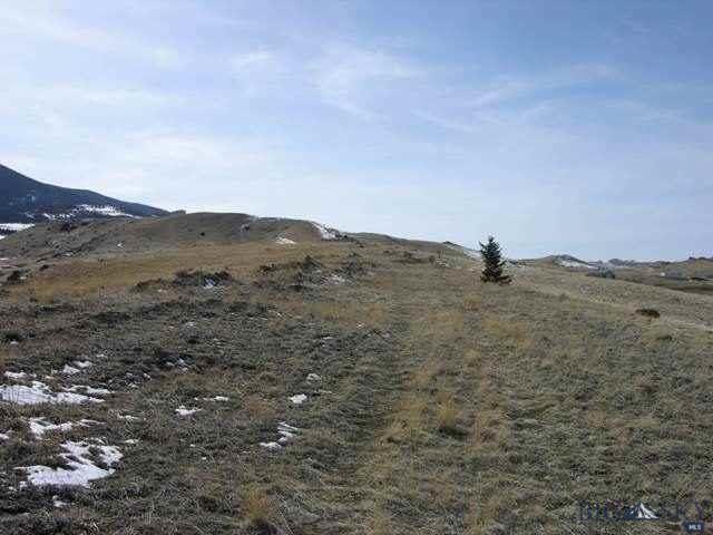 Lot 14 Buffalo Trail Estates, Livingston, MT 59047