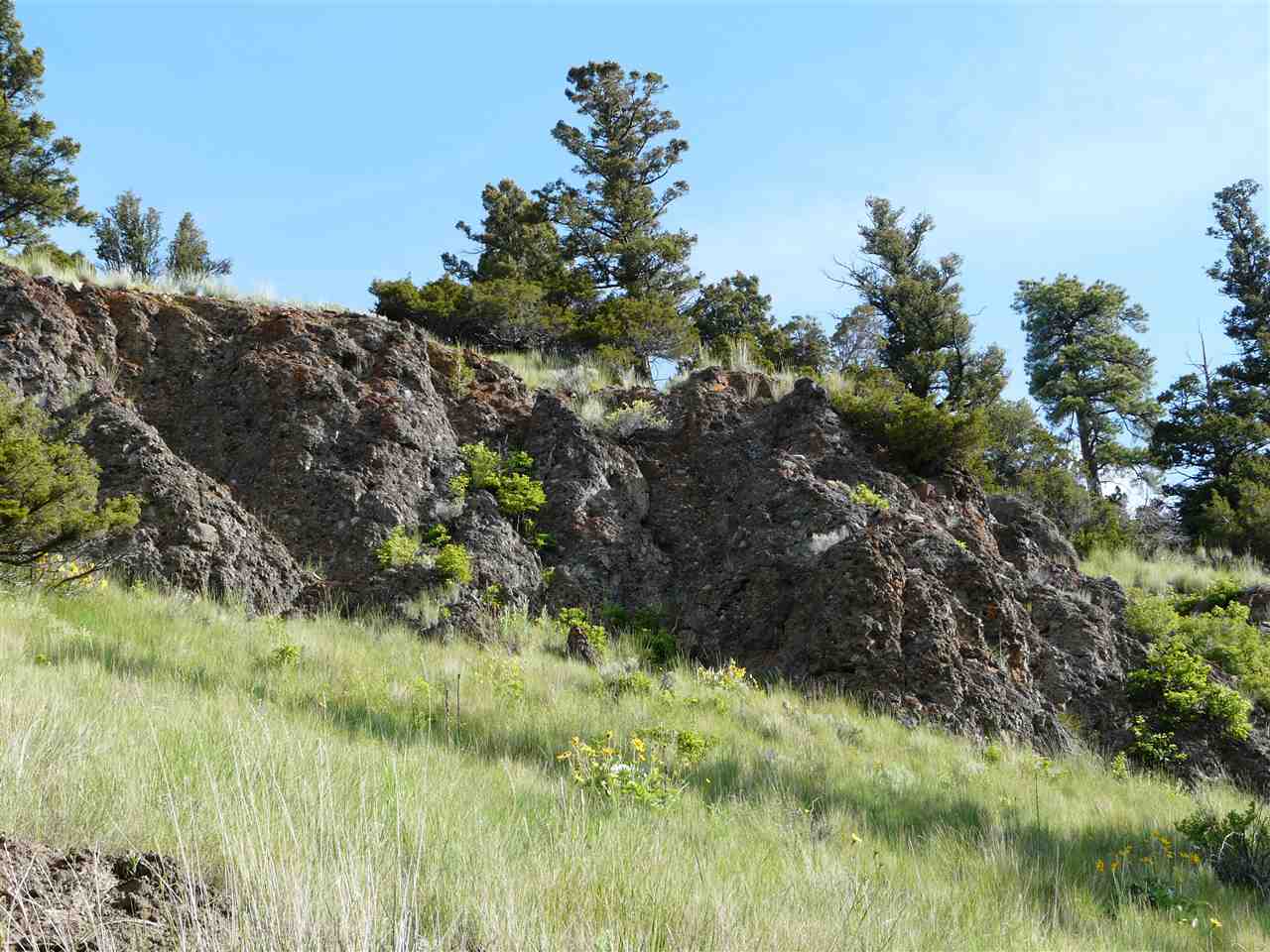 TBD TBD, Deer Lodge/Garrison, MT 59047