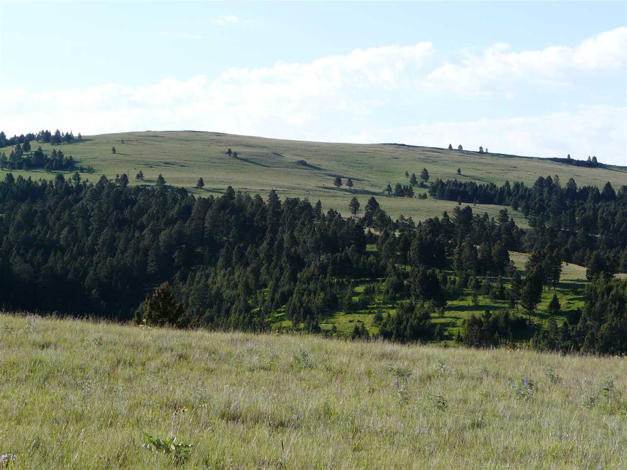 TBD TBD, Deer Lodge/Garrison, MT 59047
