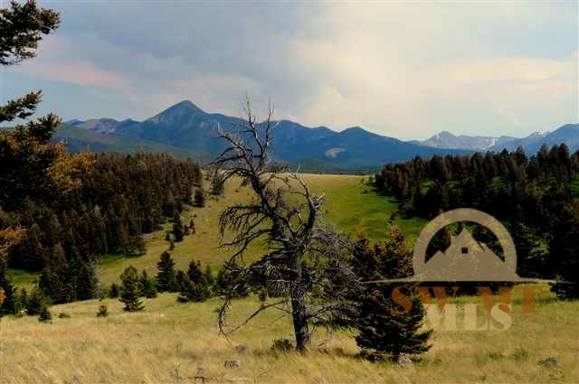 Lot LV14 Yellowstone Basin Properties, Livingston, MT 59047