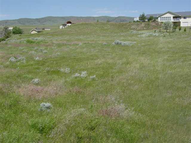 TBD Haven Meadow, Livingston, MT 59047