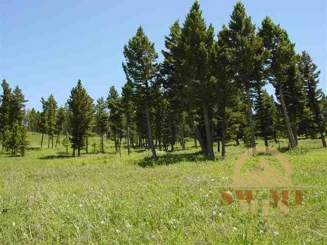 Lot LV 18 Livingston Peak, Livingston, MT 59047