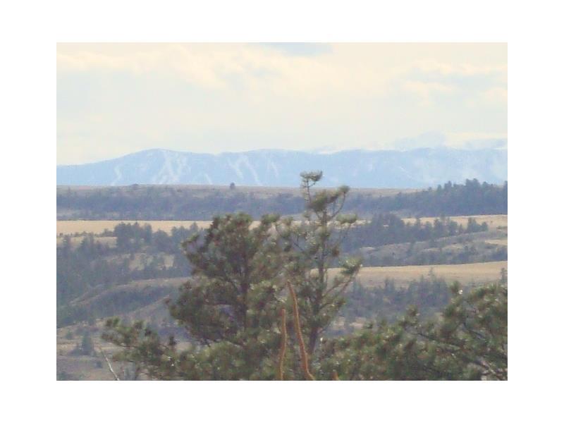 13555 N RANCHAIRO ROAD, Molt, MT 59057