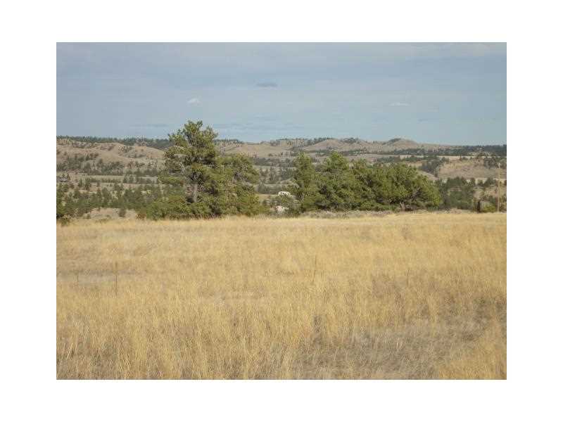 13555 N RANCHAIRO ROAD, Molt, MT 59057