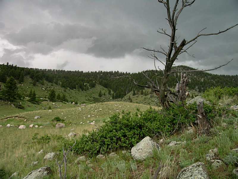 34 ELK PARK, Nye, MT 59061