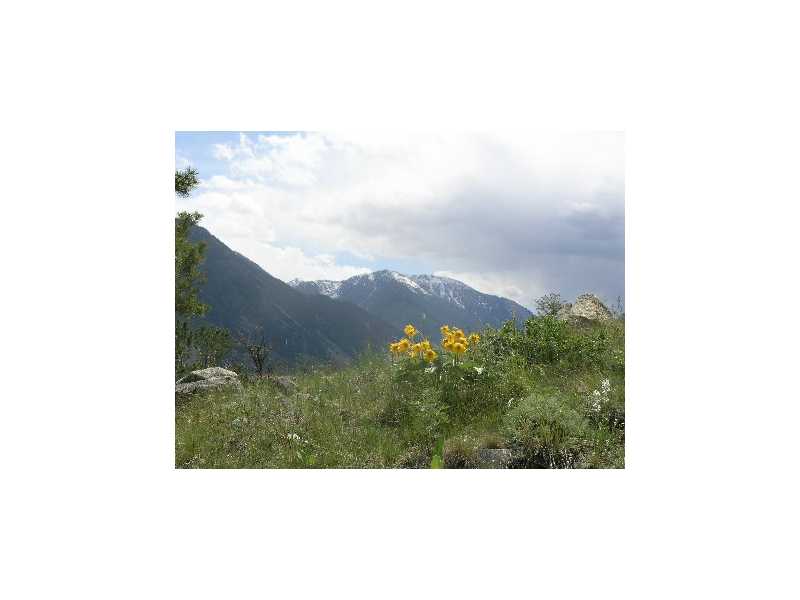 83 ROCKY TRAIL, Nye, MT 59061