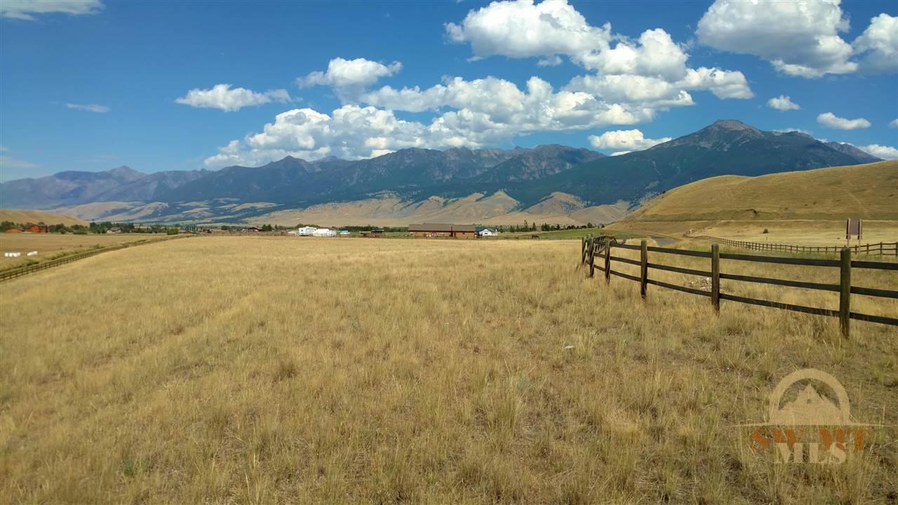 Lot 38 &amp; 39 Chicory, Pray, MT 59065