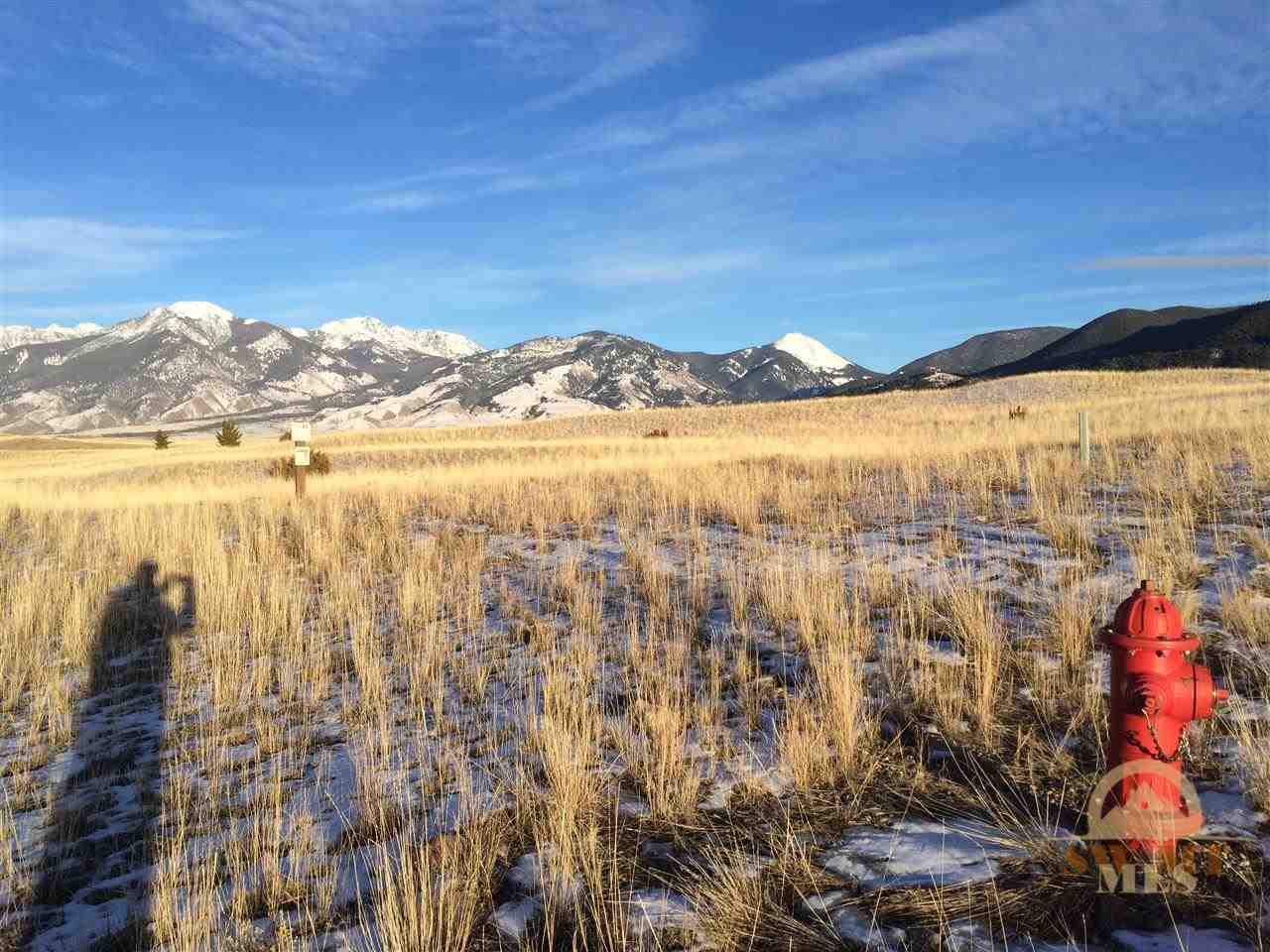 Lot 11 Cowboy Lake Road, Pray, MT 59065