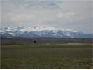 3033 Baneberry Ave, Red Lodge, MT 59068