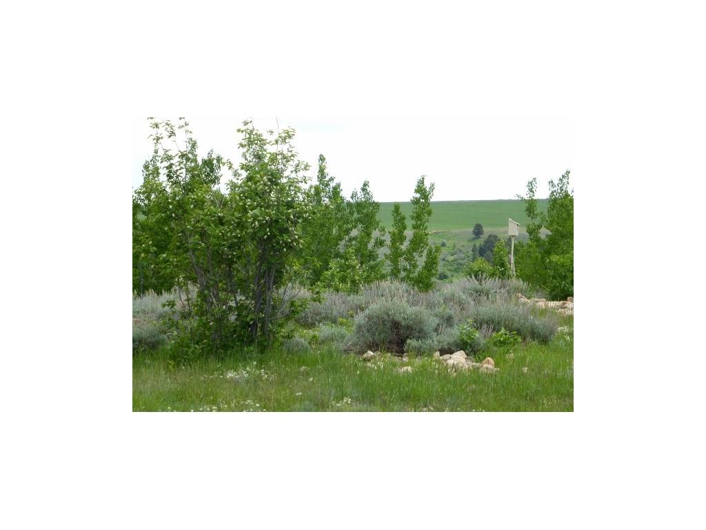 Lot 27 Lazy M Street, Red Lodge, MT 59068
