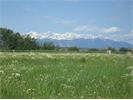 3029 Elderberry Ave, Red Lodge, MT 59068