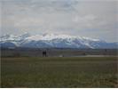 3029 Elderberry Ave, Red Lodge, MT 59068