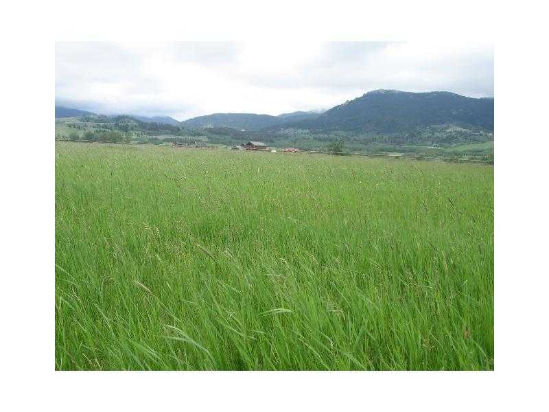 Lot 19 GRAND VIEW DRIVE, Red Lodge, MT 59068