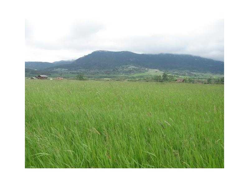 Lot 19 GRAND VIEW DRIVE, Red Lodge, MT 59068