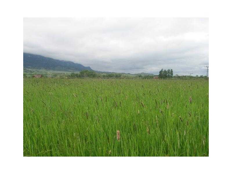 Lot 19 GRAND VIEW DRIVE, Red Lodge, MT 59068