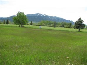 Lot 73 Lobo Ct, Red Lodge, MT 59068