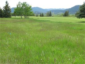 Lot 73 Lobo Ct, Red Lodge, MT 59068