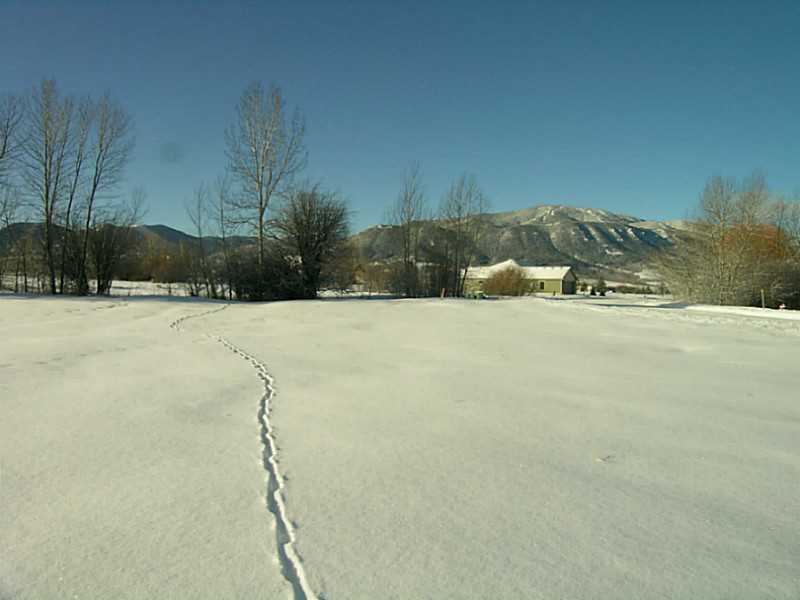 Lot 60 COLE DRIVE, Red Lodge, MT 59068