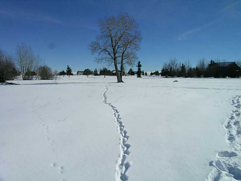 Lot 60 COLE DRIVE, Red Lodge, MT 59068