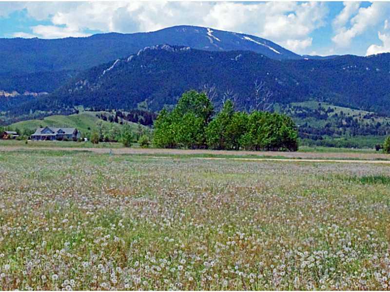 Lot 21 MEADOW CIRCLE, Red Lodge, MT 59068
