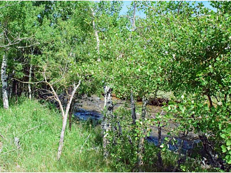 Lot 21 MEADOW CIRCLE, Red Lodge, MT 59068