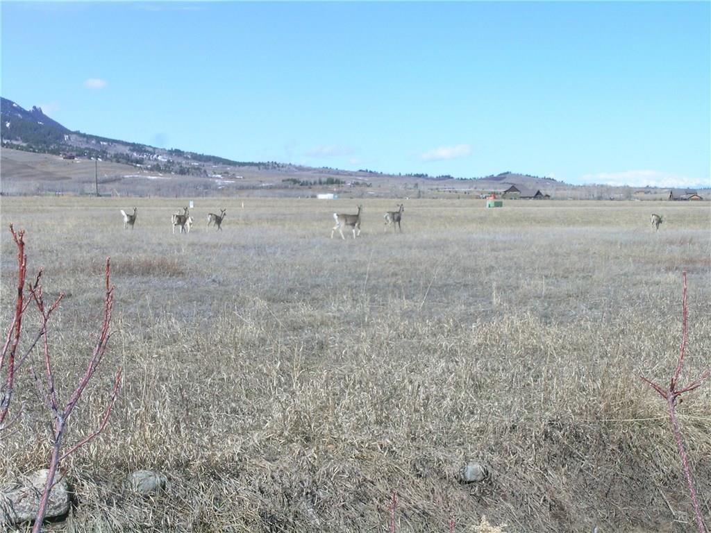 Lot 30 Meadowood ROAD, Red Lodge, MT 59068