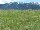 11 &amp; 12 Vista Pl, Red Lodge, MT 59068
