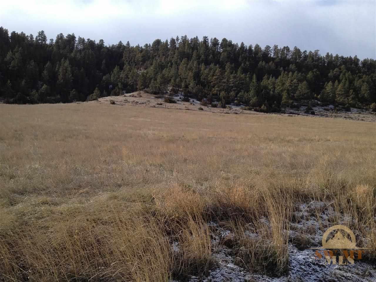TRACT 147 APPALOOSA RIDGE, Reed Point, MT 59069