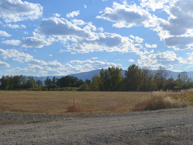 Lot 1 BUTTERCUP, Roberts, MT 59070