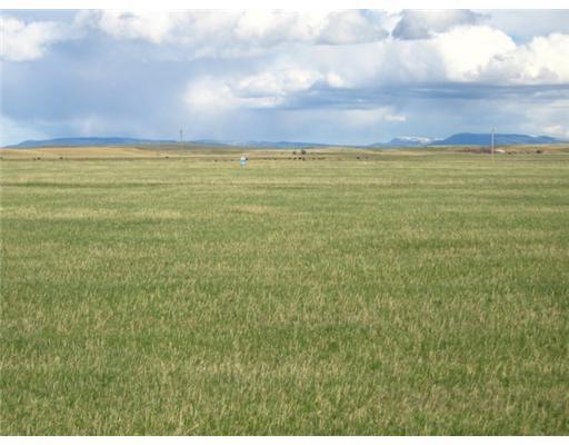 Lot 1 BUTTERCUP, Roberts, MT 59070