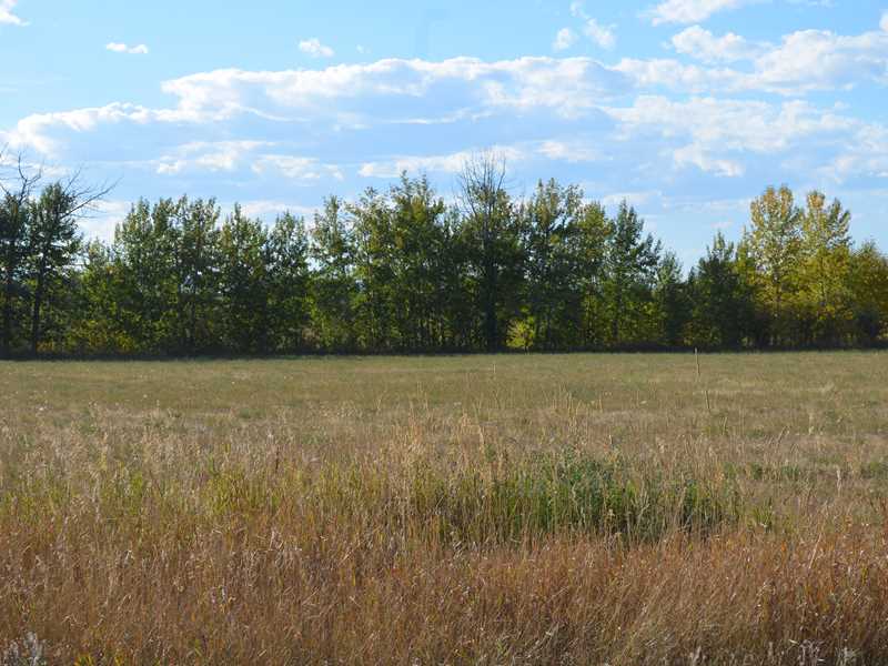 Lot 1 BUTTERCUP, Roberts, MT 59070