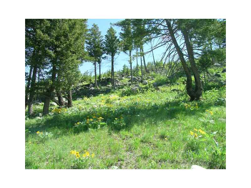 Lot 58 RAINBOW DRIVE, Roscoe, MT 59071