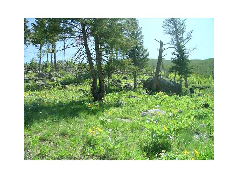 Lot 58 RAINBOW DRIVE, Roscoe, MT 59071