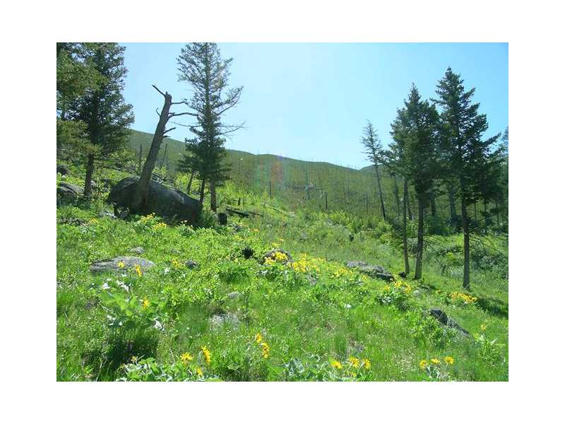 Lot 58 RAINBOW DRIVE, Roscoe, MT 59071