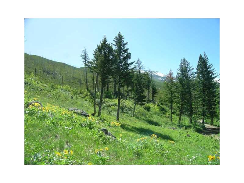 Lot 58 RAINBOW DRIVE, Roscoe, MT 59071