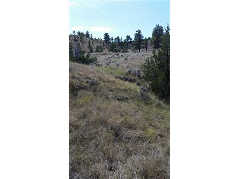 50 SUNSHINE ROAD, Roundup, MT 59072