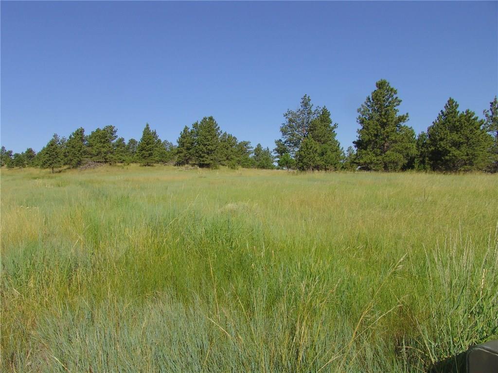 67 Winchester, Roundup, MT 59072