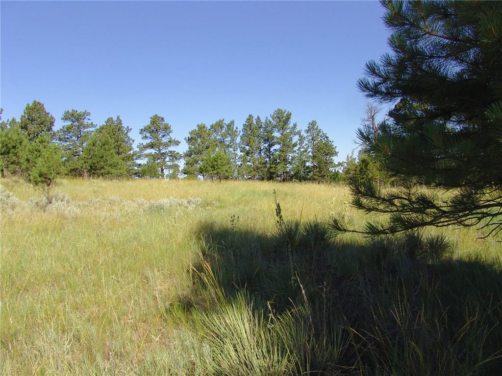 67 Winchester, Roundup, MT 59072