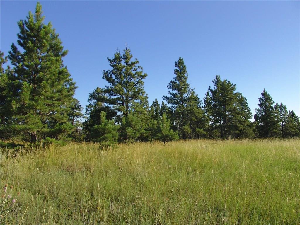 45 Winchester, Roundup, MT 59072