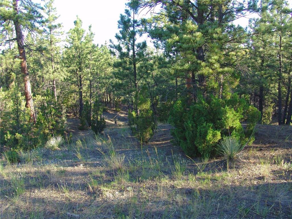 45 Winchester, Roundup, MT 59072
