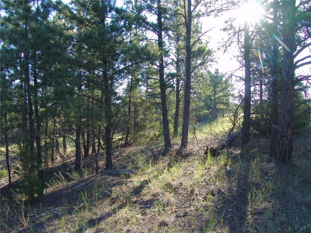 45 Winchester, Roundup, MT 59072
