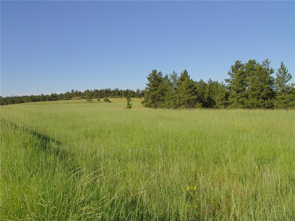 51 Winchester, Roundup, MT 59072