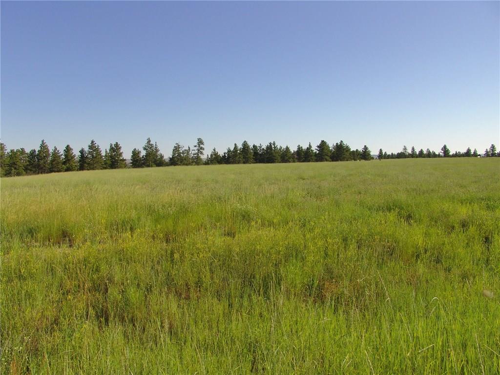 51 Winchester, Roundup, MT 59072