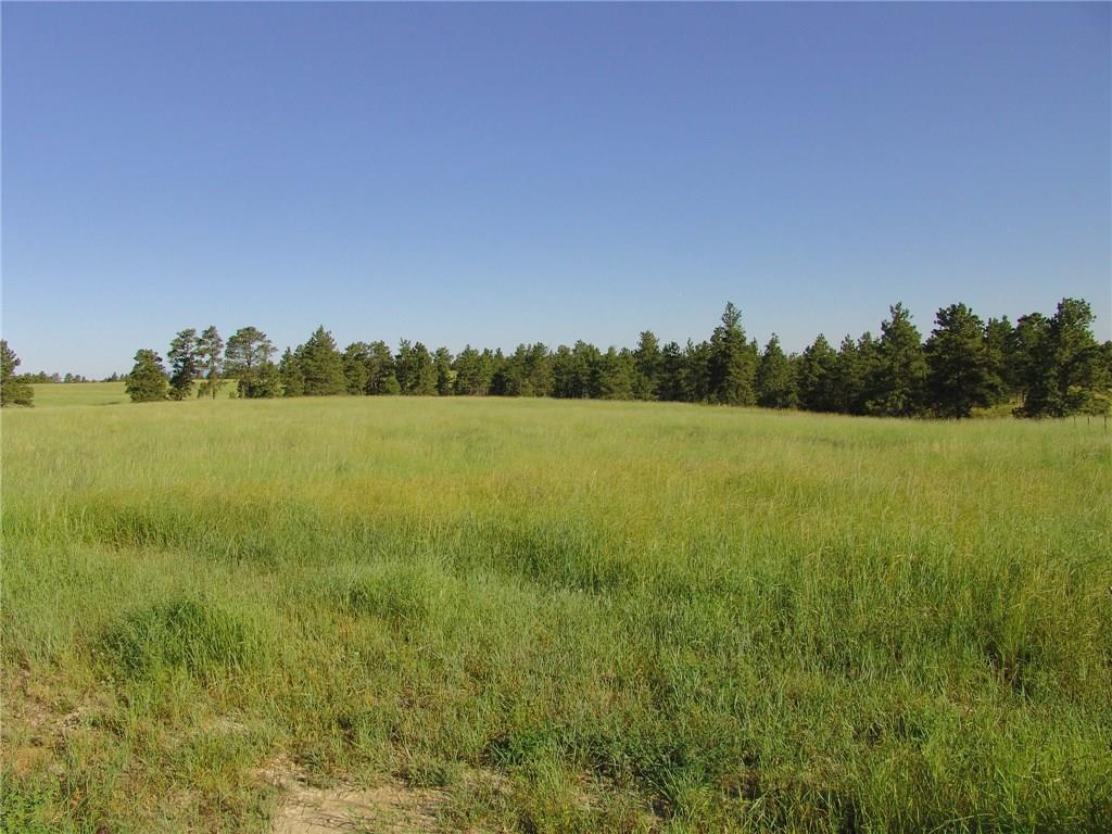 58 Winchester, Roundup, MT 59072