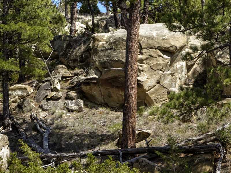 50 SHEEPHERDER TRAIL, Roundup, MT 59072