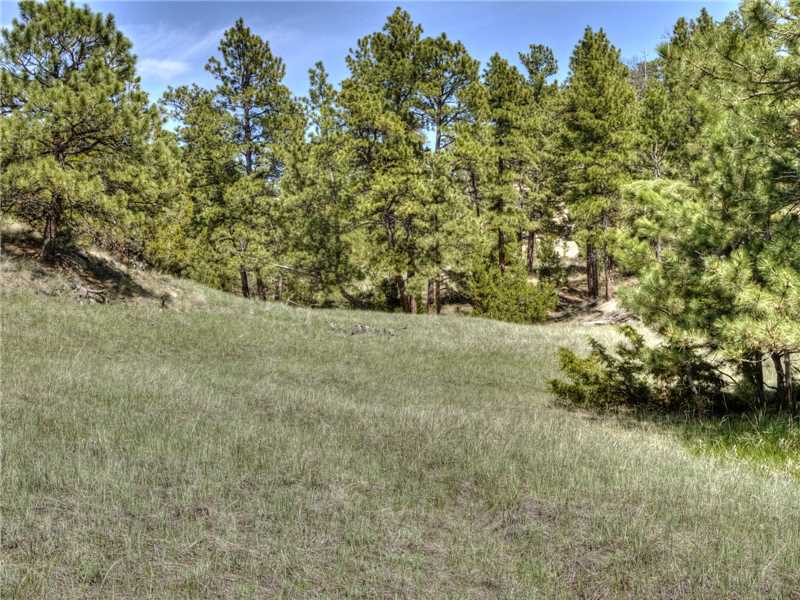 50 SHEEPHERDER TRAIL, Roundup, MT 59072
